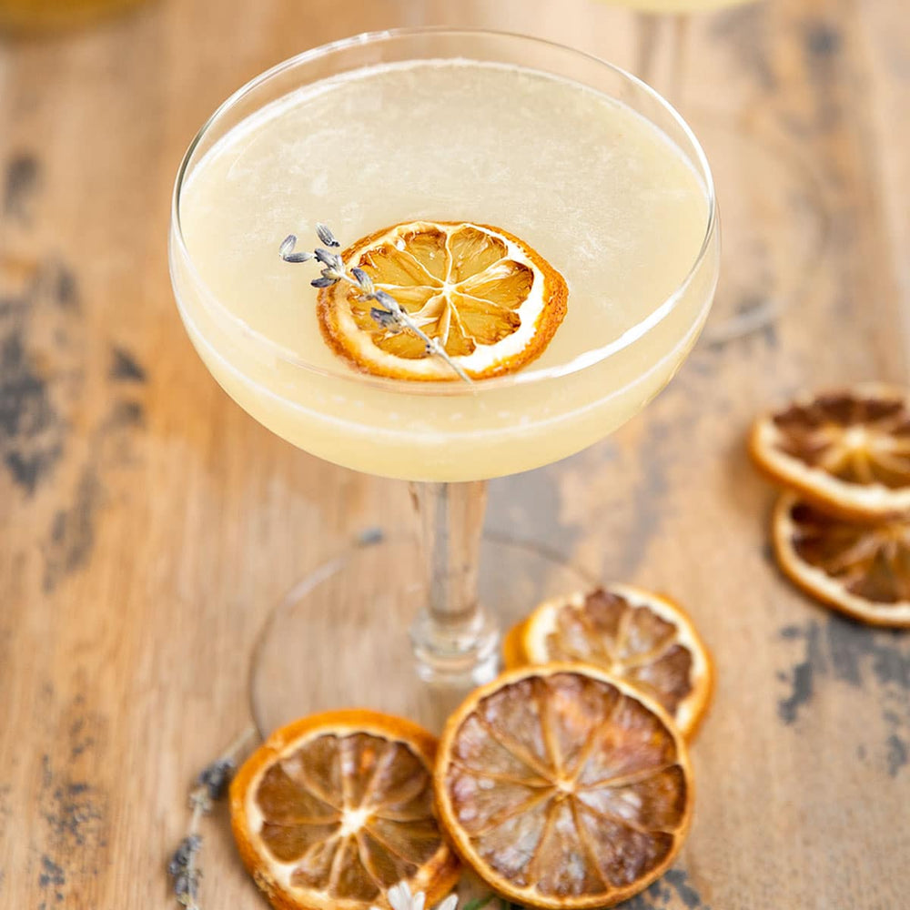 Dehydrated Lemon Slices - cocktail garnish - Elevated Mixers